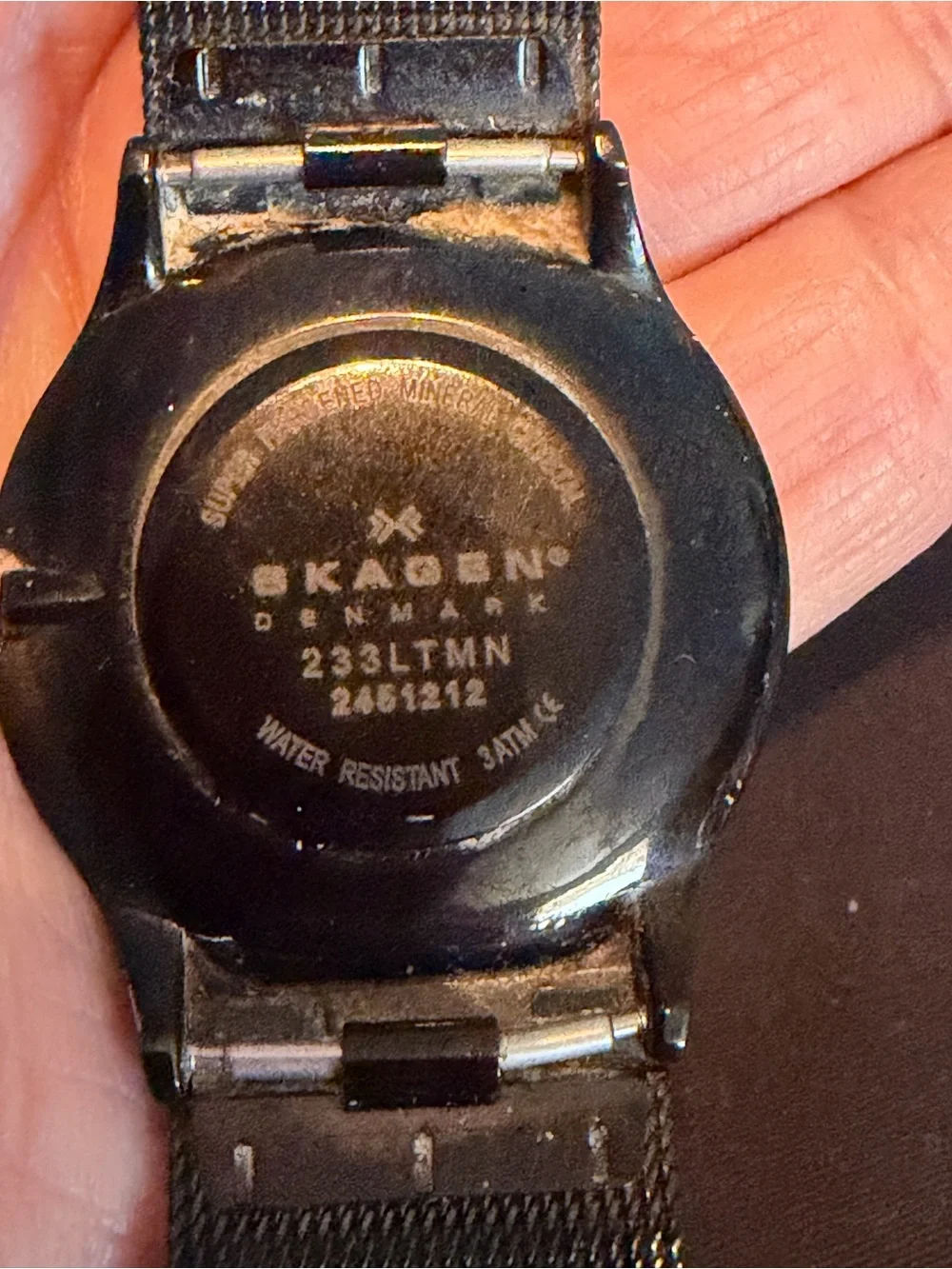 Skagen Black Blue Dial Watch